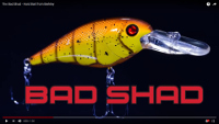 Bad Shad